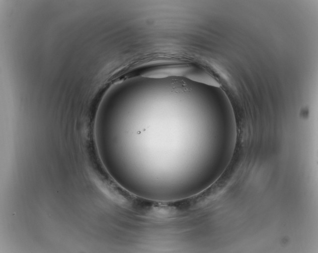 X0000092040455200709191104