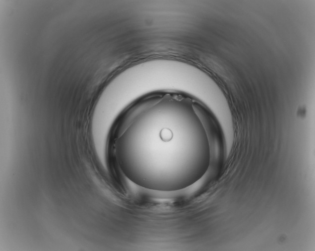 X0000092040456200709191104