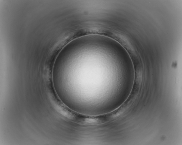 X0000092040457200709191104