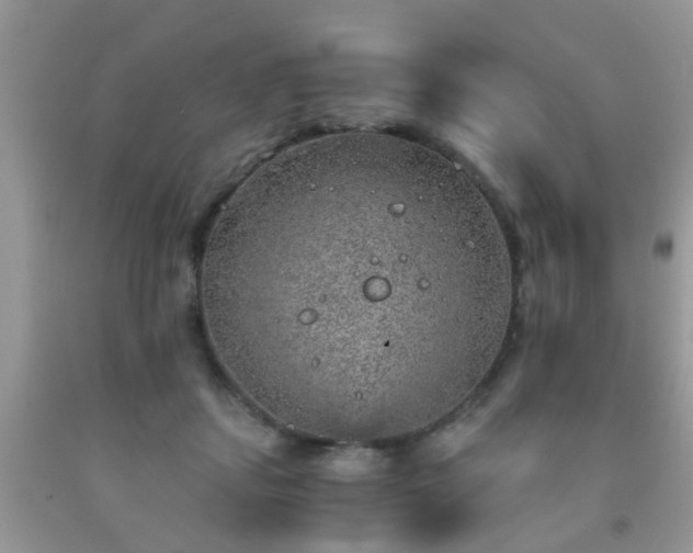 X0000092040459200709191104