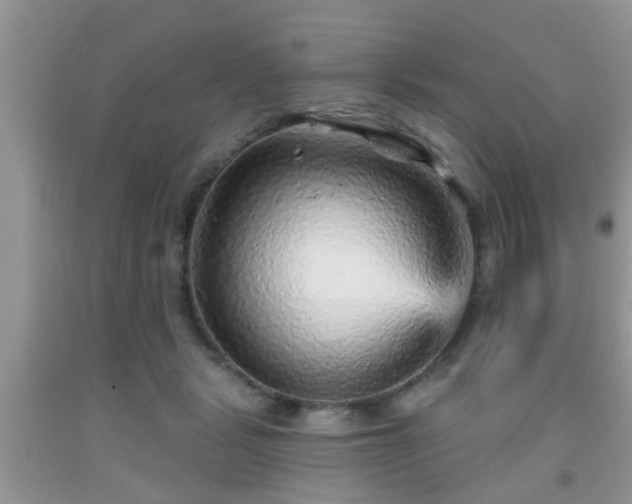 X0000092040461200709191104