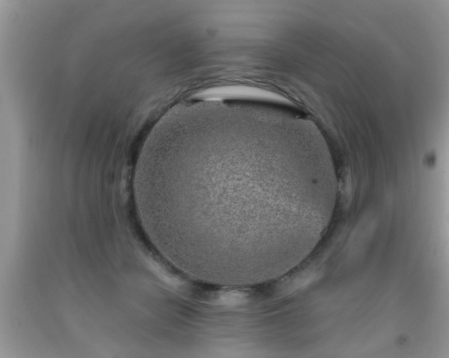 X0000092040462200709191104