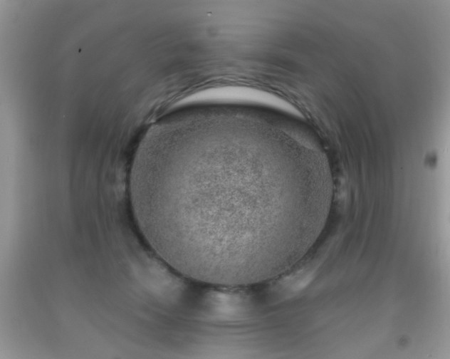 X0000092040466200709191104