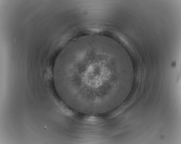 X0000092040467200709191104