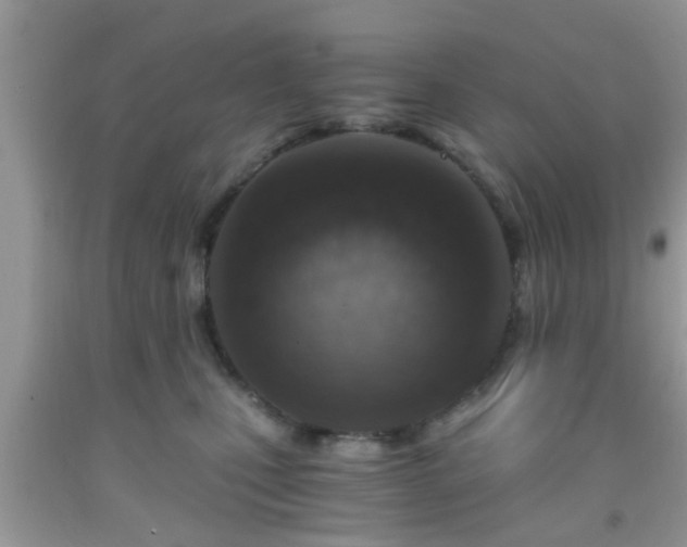 X0000092040471200709191104