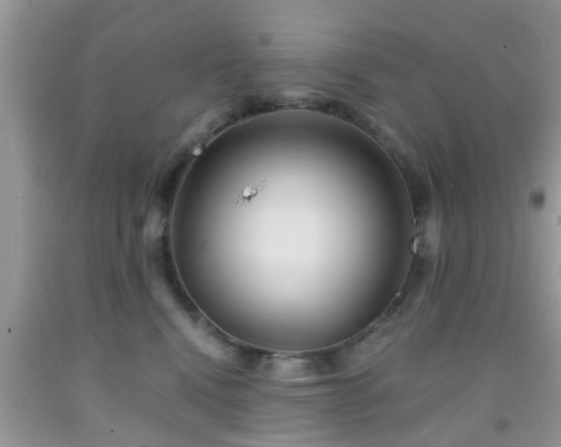 X0000092040472200709191104