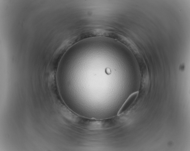 X0000092040473200709191104