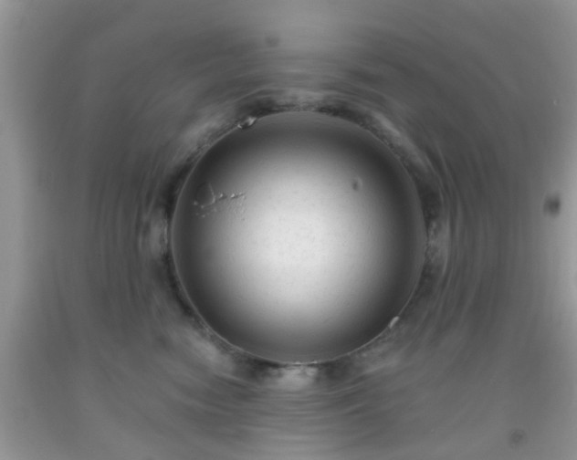 X0000092040474200709191104