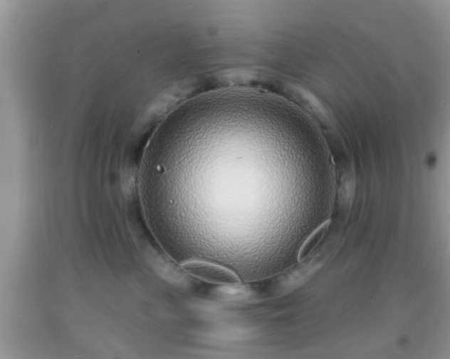 X0000092040477200709191104