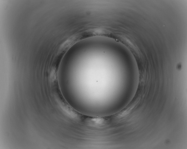 X0000092040478200709191104