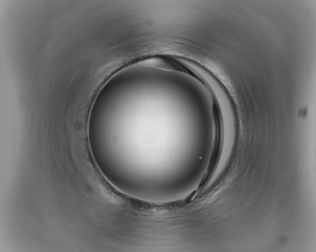 X0000092040481200709191103