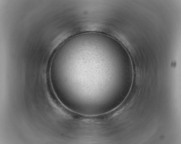 X0000092040482200709191103