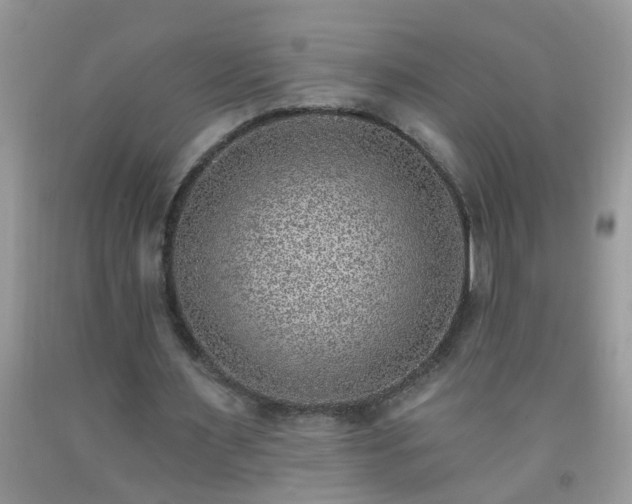 X0000092040483200709191103