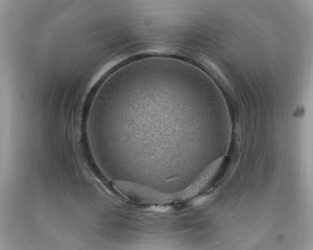 X0000092040484200709191103