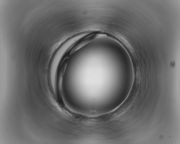 X0000092040485200709191103