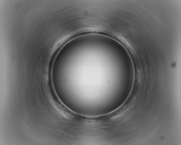 X0000092040486200709191103