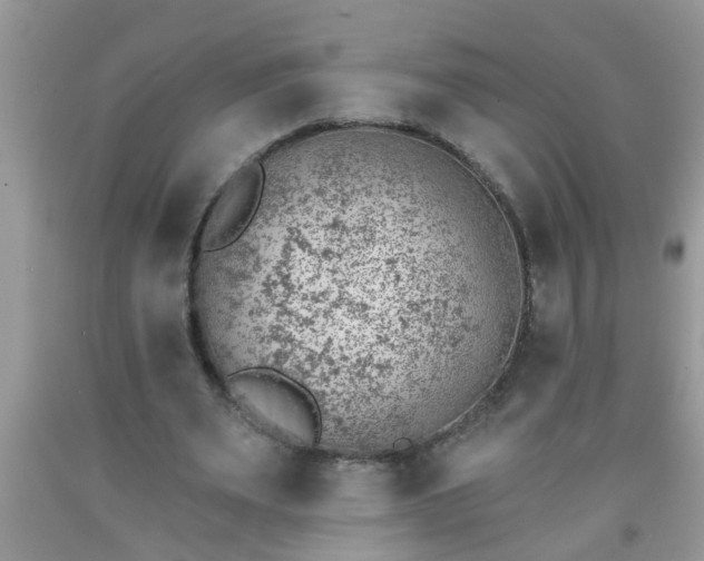 X0000092040487200709191103