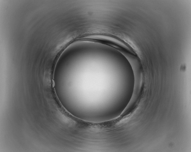 X0000092040489200709191103