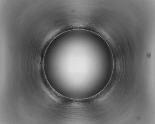 X0000092040490200709191103