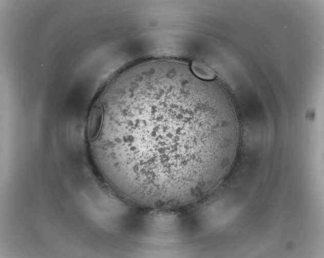 X0000092040491200709191103