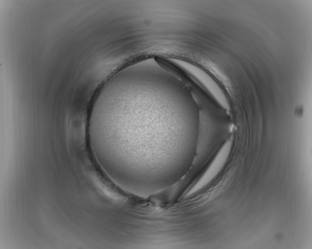 X0000092040493200709191103