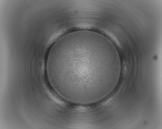 X0000092040494200709191103