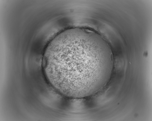 X0000092040495200709191103