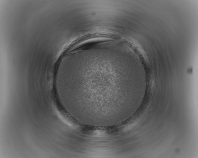 X0000092040496200709191103