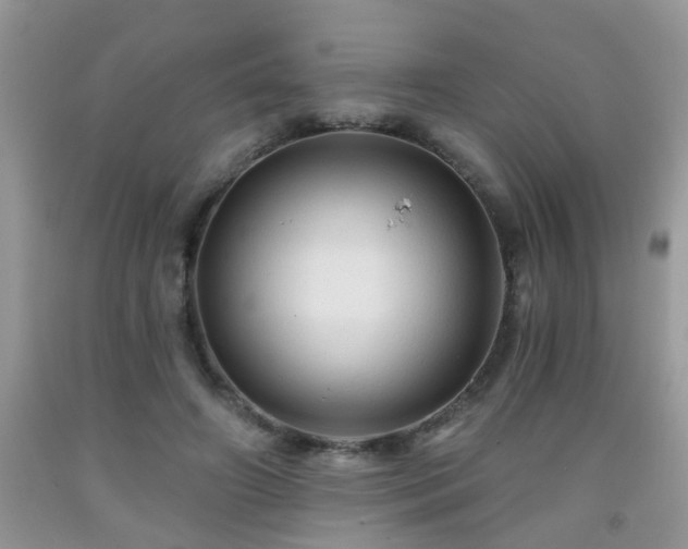 X0000092040498200709191103