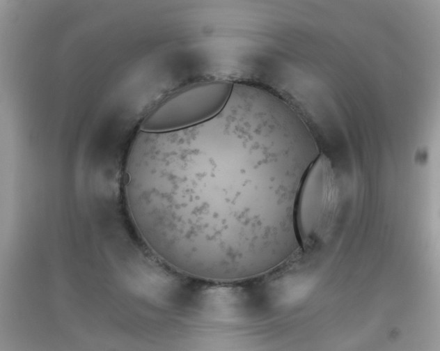 X0000092040499200709191103