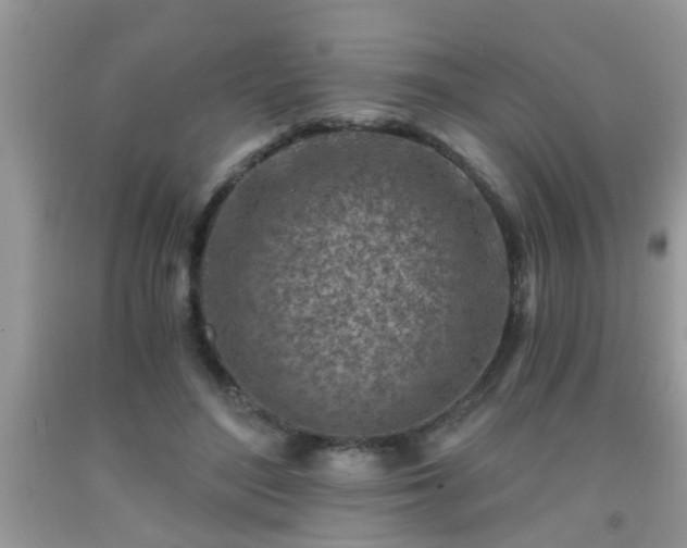 X0000092040500200709191103