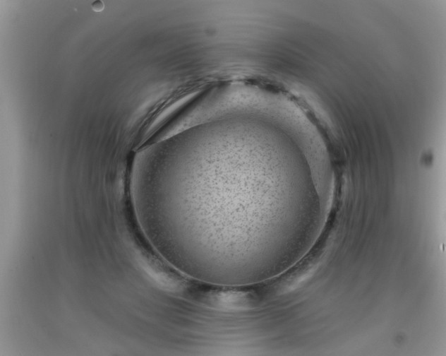 X0000092040501200709191103