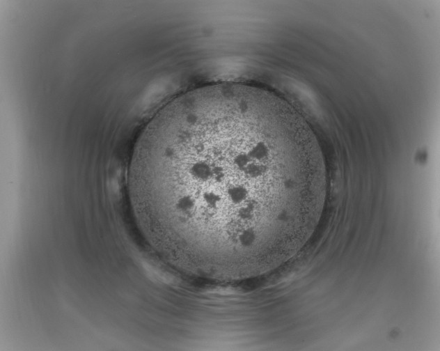 X0000092040503200709191103