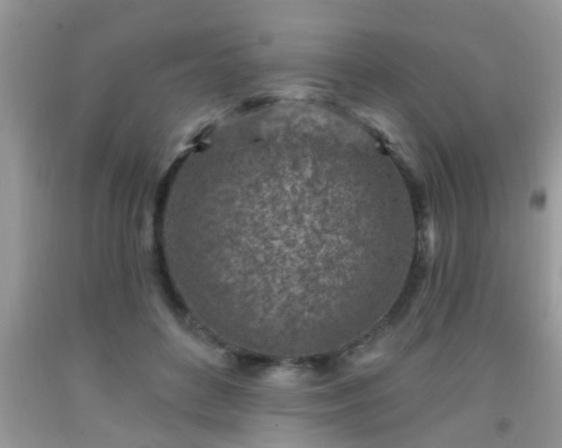 X0000092040504200709191103