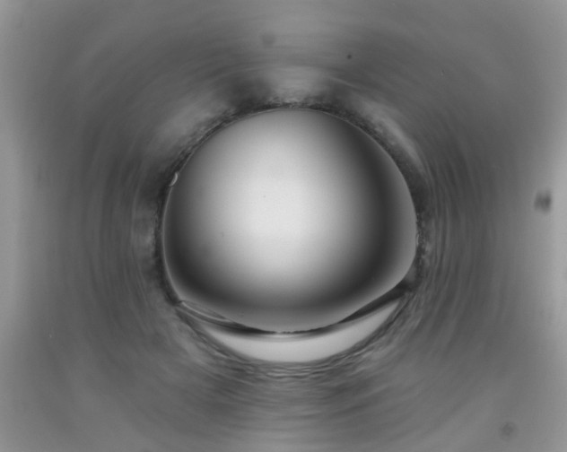 X0000092040505200709191103