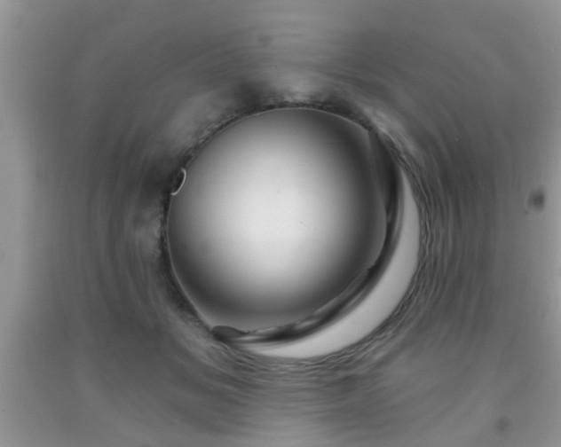 X0000092040509200709191103