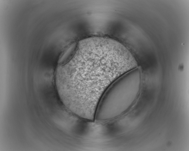 X0000092040511200709191103