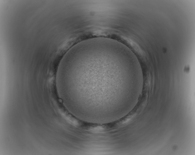 X0000092040513200709191103