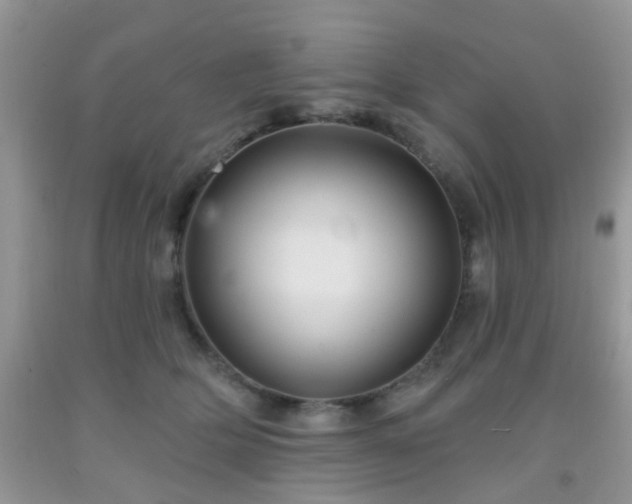 X0000092040514200709191103