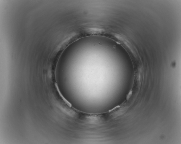 X0000092040516200709191103