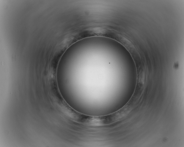 X0000092040518200709191103