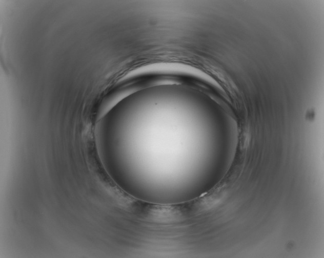 X0000092040521200709191103