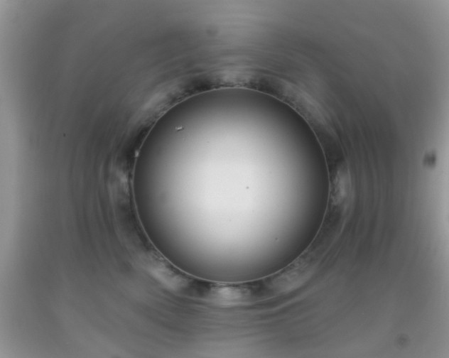 X0000092040522200709191103