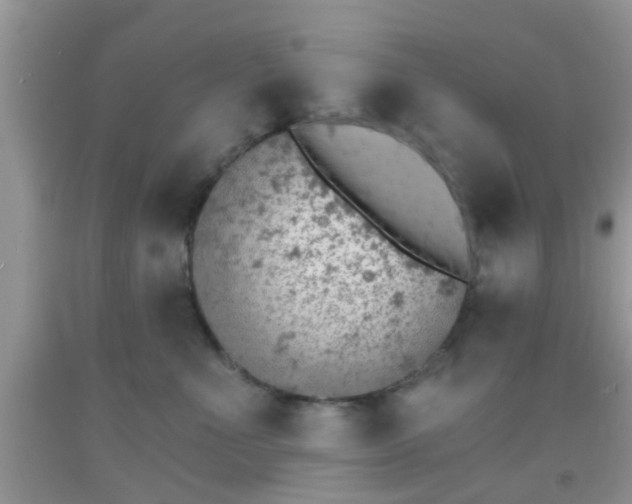 X0000092040523200709191103