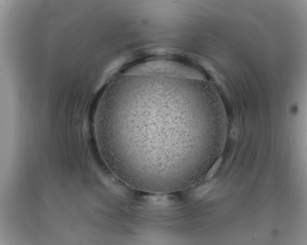 X0000092040524200709191103