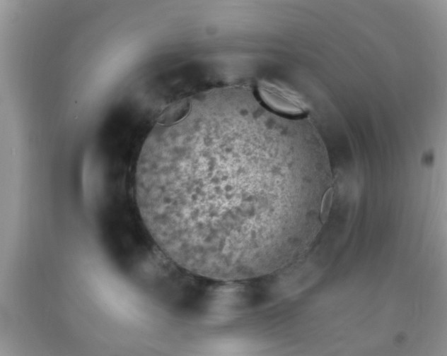 X0000092040527200709191103