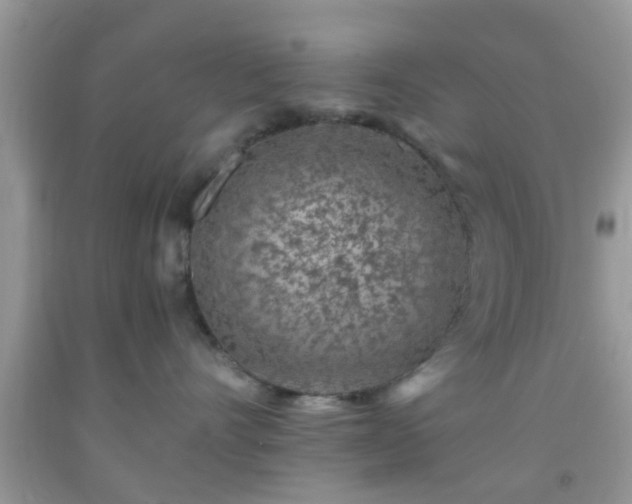 X0000092040528200709191103