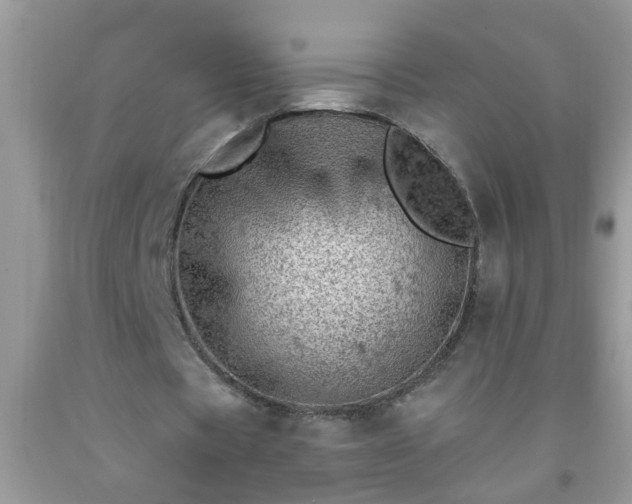 X0000092040529200709191102