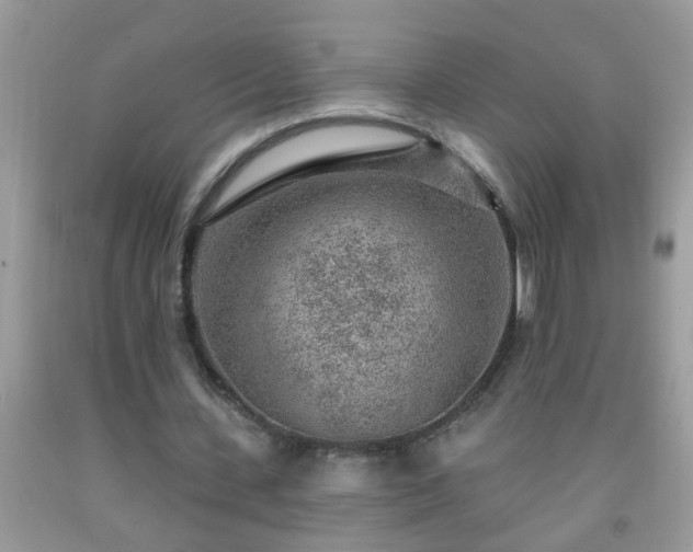 X0000092040531200709191102