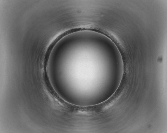 X0000092040532200709191102